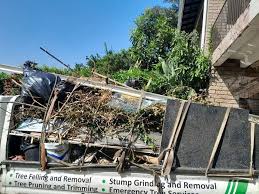 Best Hoarding Cleanup  in Lake Waccamaw, NC